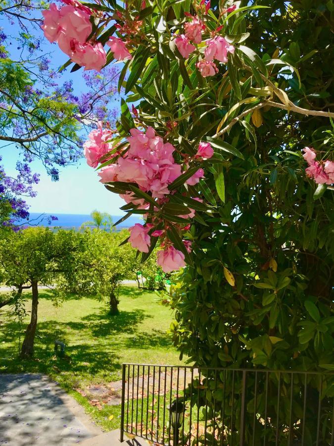 Tenuta Jacaranda Piedimonte Etneo Εξωτερικό φωτογραφία